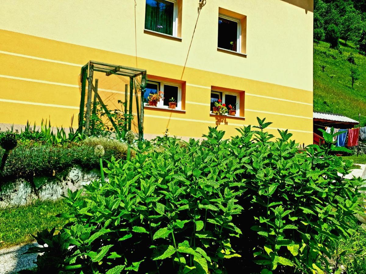 Apartment And Garden House Among The Mountains Podbrdo Exterior foto
